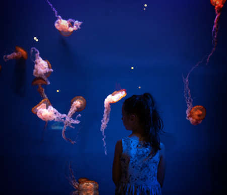 cute little toddler girl visiting zoo aquarium.の写真素材