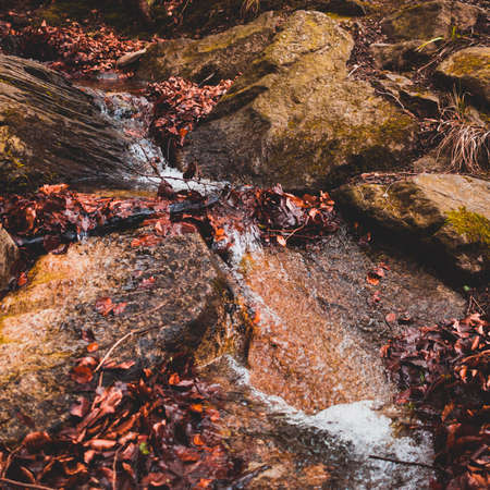Long exposure photo of the mountain creek with rocks and leavesの写真素材
