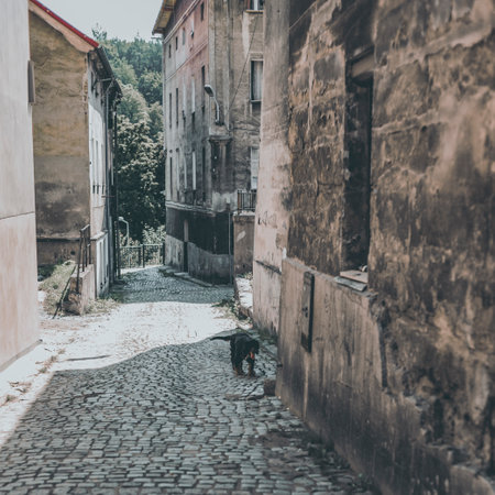 street in the old mountain town