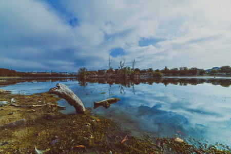 lake in the city of Copenhagen, driftwood on the shoreの写真素材