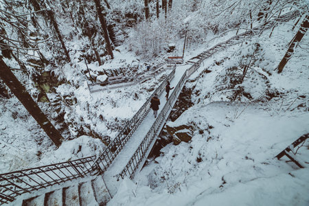 people on the bridge in the snowy mountain park