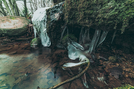 frozen stream in the mountain park