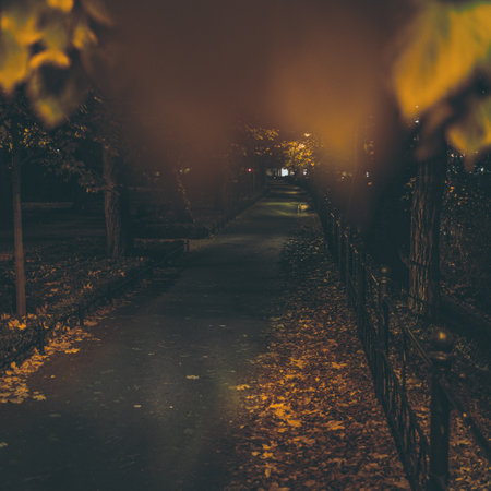 path in the city park at nightの写真素材