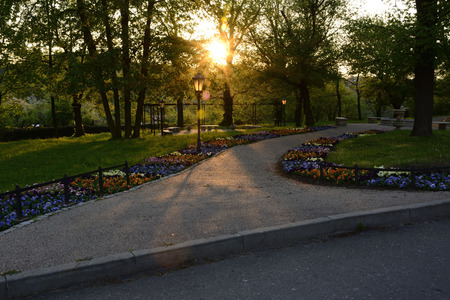 A beautiful oasis of greenery, colorful parks in Polandの写真素材