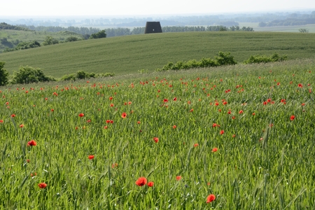 Classic Polish countryside, fields, meadows, lakes, hills, ponds, windmills.
