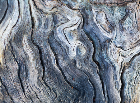 Old cracked and rotten piece of woodの写真素材