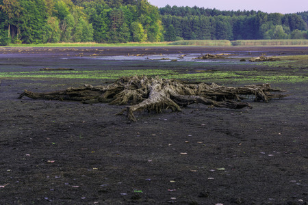Space landscape of old dried up lakeの写真素材