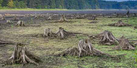 Space landscape of old dried up lakeの写真素材