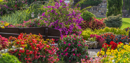 Spring green garden bathed in colorful flowersの写真素材
