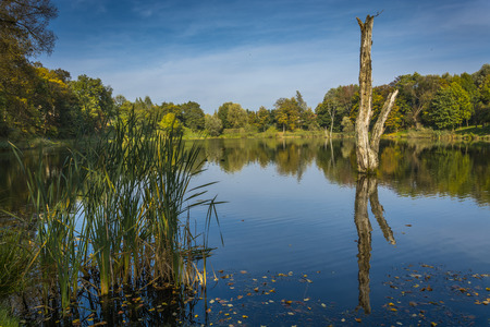 Polish border river Neisse in Leknica townの写真素材