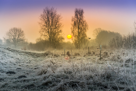 Hoarfrost, rime and frost on the fields, meadows and ponds in the morningの写真素材