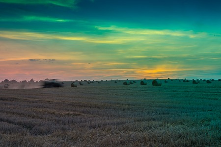 amazing colorful sunset over fields and meadows during harvestの写真素材