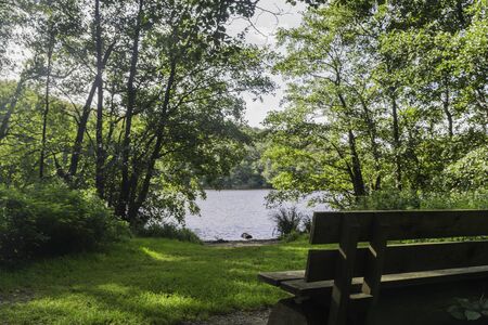 Jasmund National Parkの写真素材
