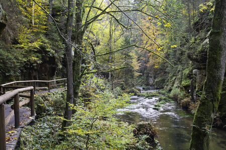 Picturesque view of Hrensko national Park, situated in Bohemian Switzerland, Czech Republic. Edmund's Gorge (Edmundova Souteska), Bohemian Switzerland, Czech Republicの写真素材