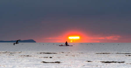 Silhouette of the girl on a surfboard at sunsetの写真素材