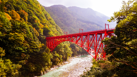 Japanese red bridge in forestの写真素材