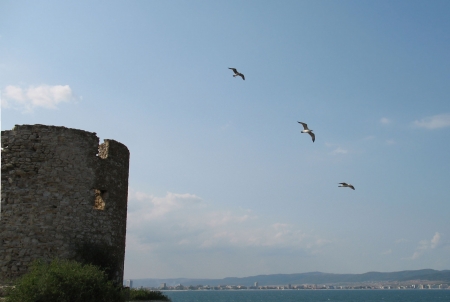 Free gull fly over a watchtowerの写真素材