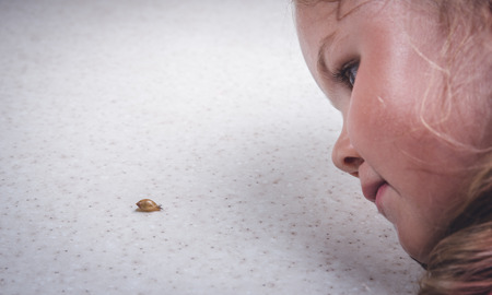 Cute adorable baby girl discovering snail on a walk. Beautiful curly toddler child having fun on rainy day. With big umbrella, child in waterproof clothesの写真素材