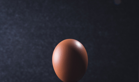 chicken egg on a black backgroundの写真素材