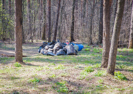 garbage in the forestの写真素材