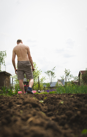 The process of seeding the seeds in the soil using a manual mechanismの写真素材