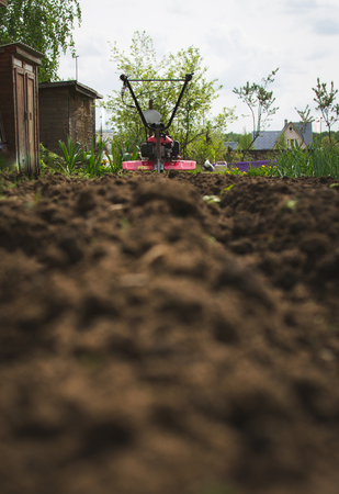 Land in a holiday village.の写真素材