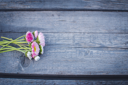 Wild flowers on old grunge  woodenの写真素材
