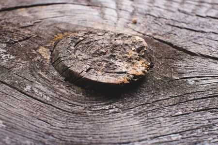 Background from wooden boards with knotsの写真素材