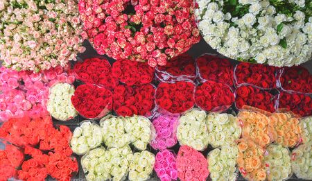 Assorted roses colorful flowersの写真素材