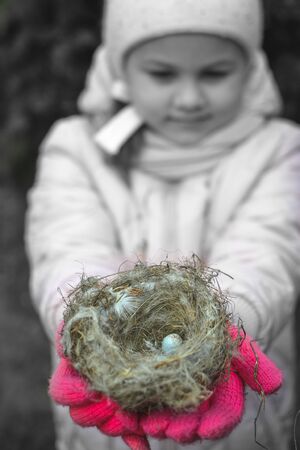 nest with eggs in woman's handsの写真素材