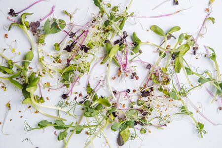 Collection of fresh green vegetables on whiteの写真素材