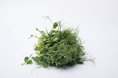 Sprouted pea with roots isolated on whiteの写真素材