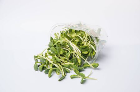 Sprouted pea with roots isolated on whiteの写真素材