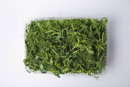Fresh pea shoots on whiteの写真素材