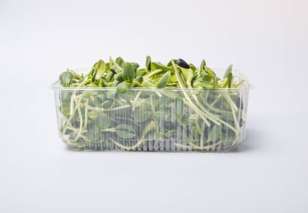 Sunflower sprouts isolated on whiteの写真素材