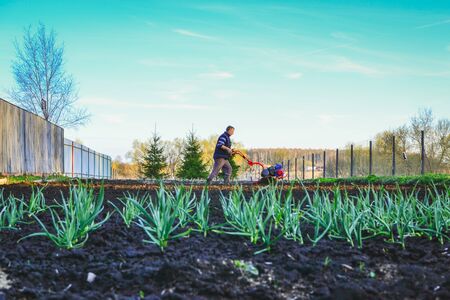 Farmer plows the land with a cultivator, preparing it for planting vegetables, on a sunny day gardenの写真素材