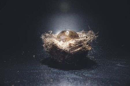 Still life with eggs and milk against the windowの写真素材