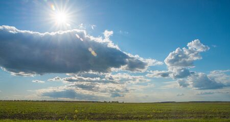 Green Grass Field Landscape with fantastic clouds in the backgroundの写真素材