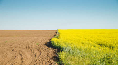 Birds eye view looking straight down at a field during summer day. The field has a divide with half...