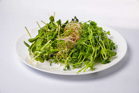 Grilled chicken, rice, spicy chickpeas, avocado, cabbage, pepper buddha bowl on dark background, top view. Delicious balanced food conceptの写真素材