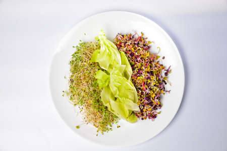 Food background: micro-village on a wooden background. Top view close-up. Vertical or horizontal formatの写真素材