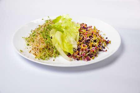 Food background: micro-village on a wooden background. Top view close-up. Vertical or horizontal formatの写真素材