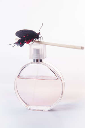 Women's perfume on the background of pink guipure fabricの写真素材