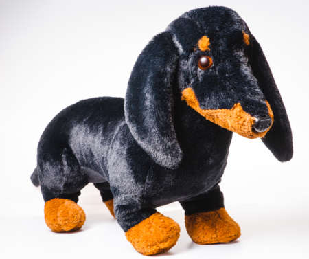 Soft plaything in shape of funny little dachshund dog put its front paws on toy soccer ball lying on green grass of artificial turf, blue background, front view, close upの写真素材