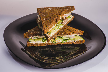 Delicious fresh sandwich with chicken burger, tomato, fried egg, pickles, onions and lettuce. Free space for textの写真素材