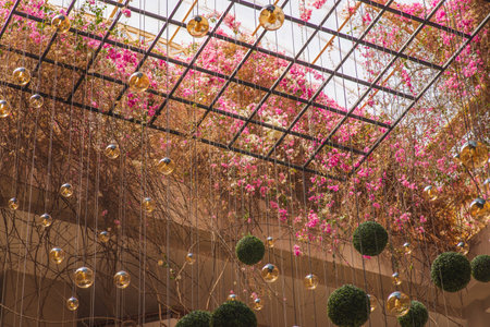 stretch ceiling model, blue sunny sky, white pink flowers and flying bird gullの写真素材