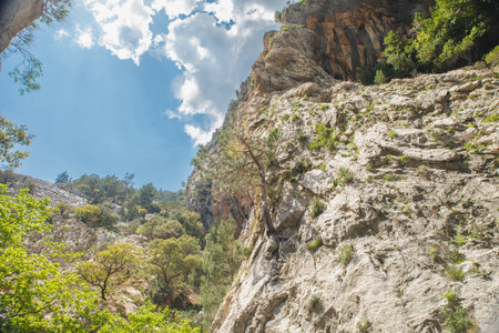 Fantastic evening panorama of Bachalp lake / Bachalpsee, Switzerland. Picturesque autumn sunset in Swiss alps, Grindelwald, Bernese Oberland, Europe. beauty of nature concept background.の写真素材