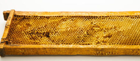 Honeycomb with honey drop on white backgroundの写真素材