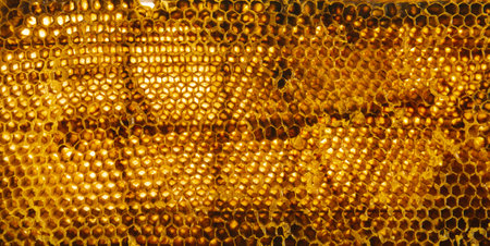 Honeycomb with honey drop on white backgroundの写真素材