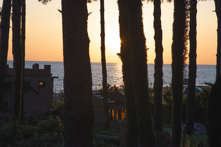 Beautiful sea sunset.Palm trees on the shore.の写真素材